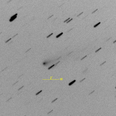 43P/Wolf-Harrington彗星