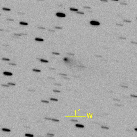 56P/Slaughter-Burnham彗星