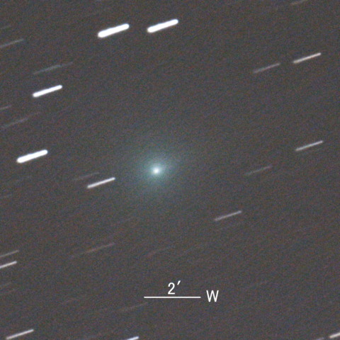 24P/Schaumasse彗星