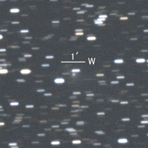 145P/Shoemaker-Levy第5彗星