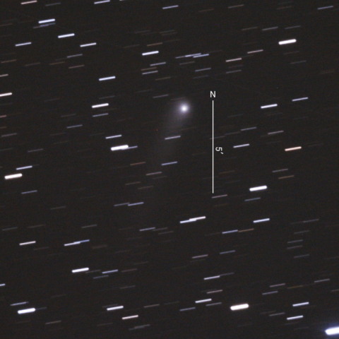 C/2018 N2（ASASSN彗星）