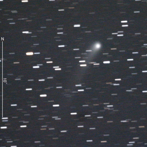 C/2018 N2（ASASSN彗星）