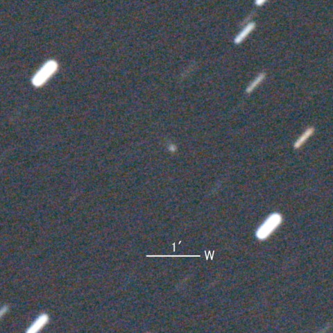 C/2019 N1（ATLAS彗星）