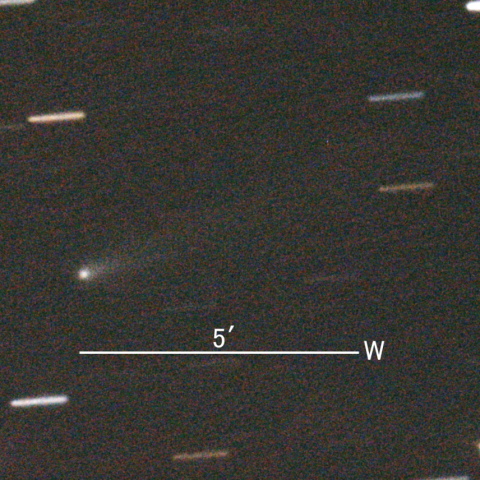 155P/Shoemaker第3彗星