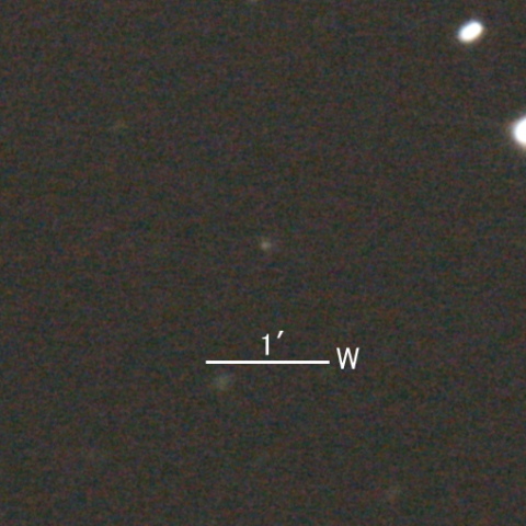 173P/Mueller第5彗星