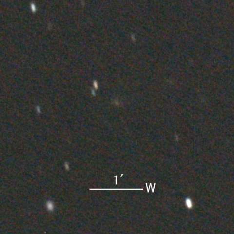 C/2019 K5（Young彗星）