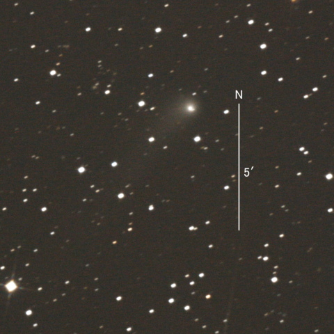 C/2018 N2（ASASSN彗星）