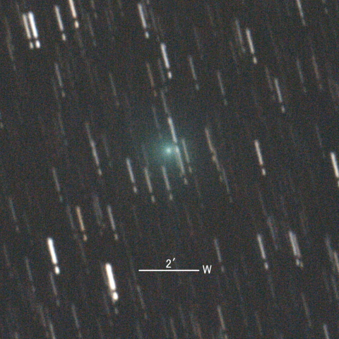 C/2020 A2（岩本彗星）