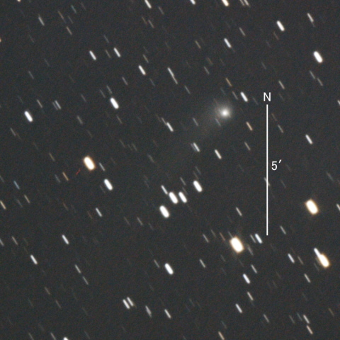 C/2018 N2（ASASSN彗星）