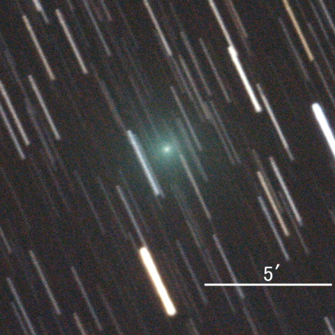 C/2020 A2(岩本彗星)