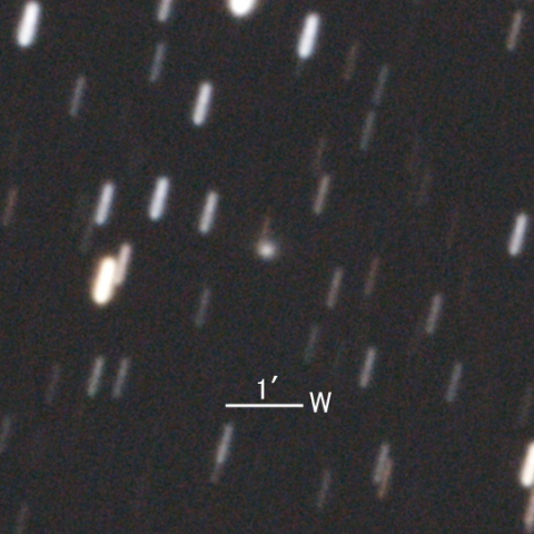 C/2019 N1（ATLAS彗星）