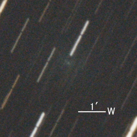 C/2020 A2(岩本彗星)