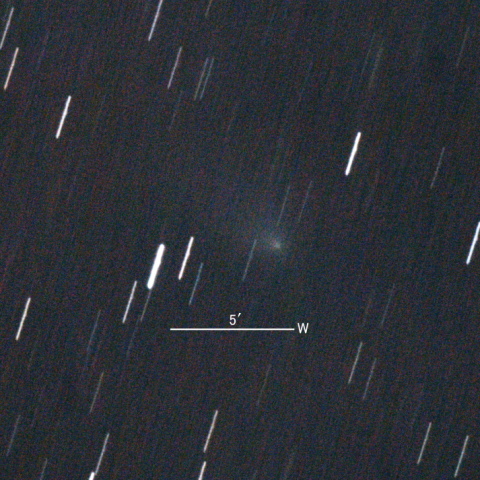 C/2019 Y1（ATLAS彗星）