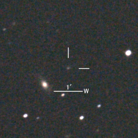 99P/Kowal第一彗星