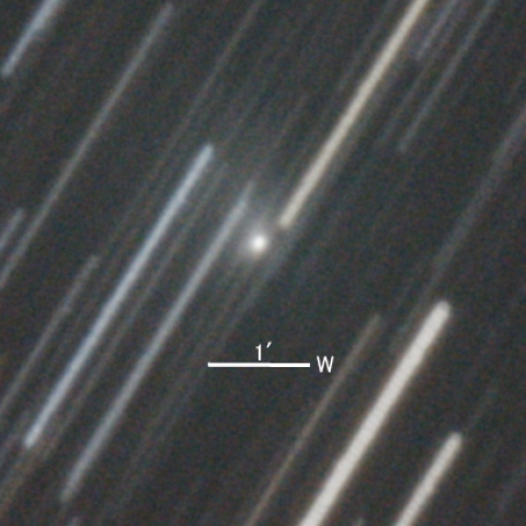 C/2021 A2 (NEOWISE彗星)