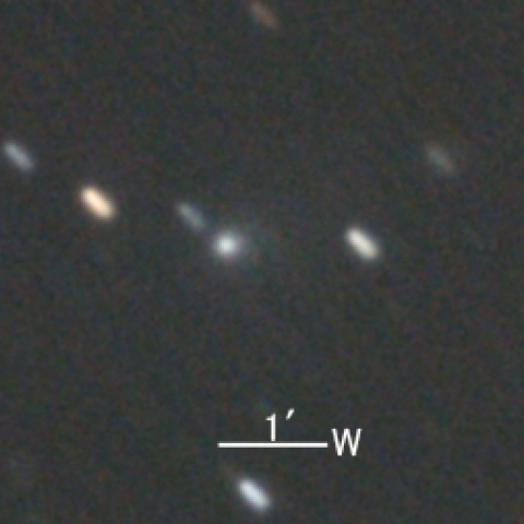 C/2020 T2 (Palomar彗星)