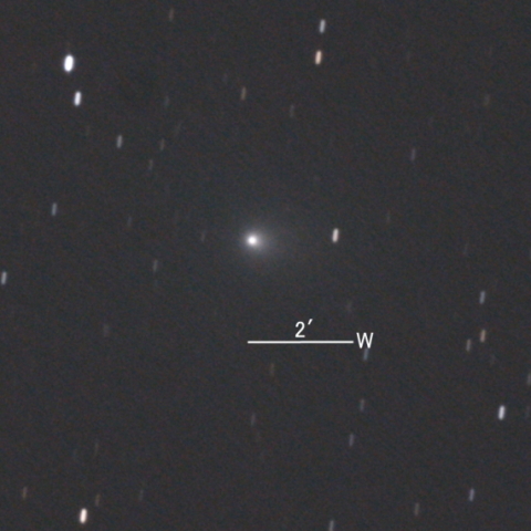 C/2020 T2 (Palomar彗星)