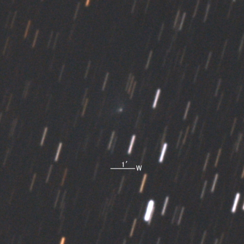 C/2021 A2 (NEOWISE彗星)