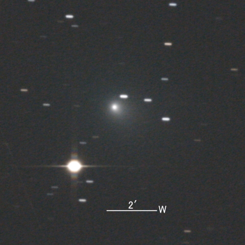 C/2020 T2 (Palomar彗星)