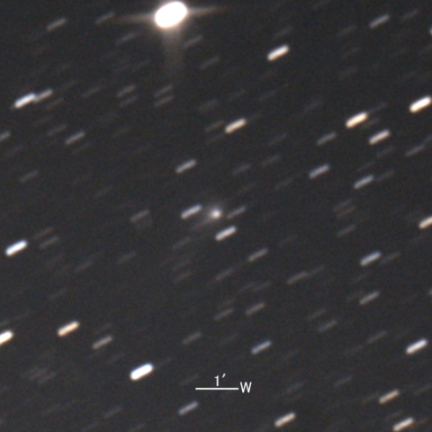 C/2020 J1 (SONEAR彗星)