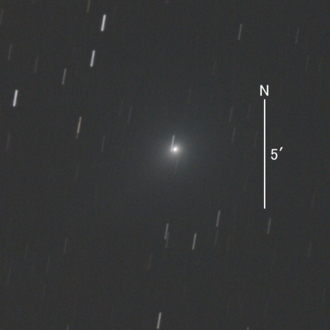 C/2020 T2 (Palomar彗星)