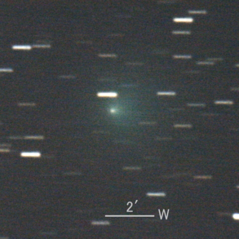 6P/d'Arrest彗星