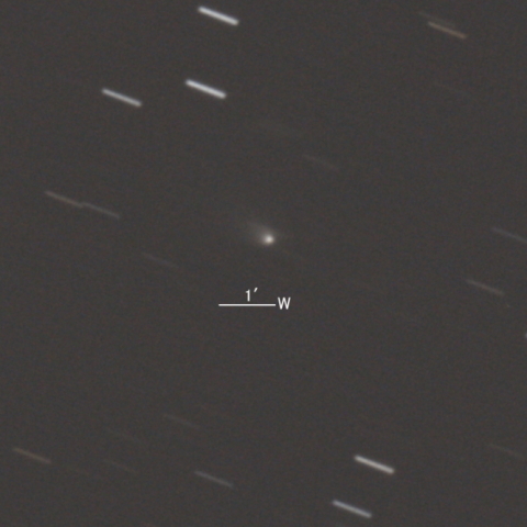 132P/Helin-Roman-Alu第2彗星