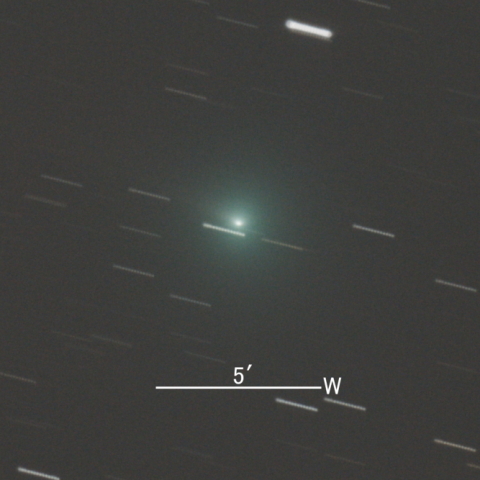 104P /Kowal第2彗星