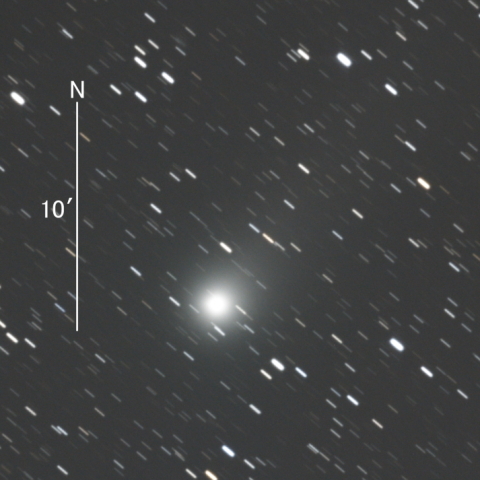 C/2019 L3 (ATLAS彗星)