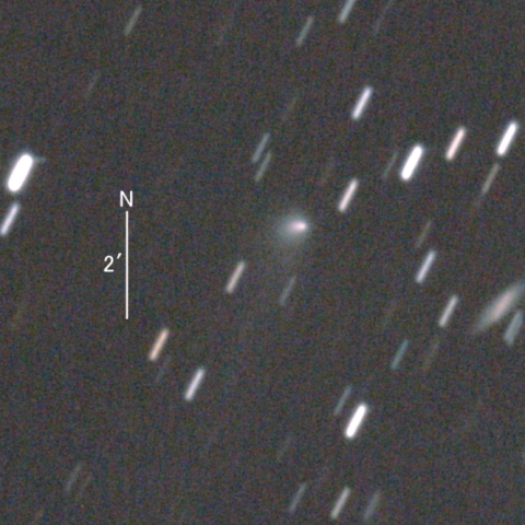 C/2020 J1 (SONEAR彗星)