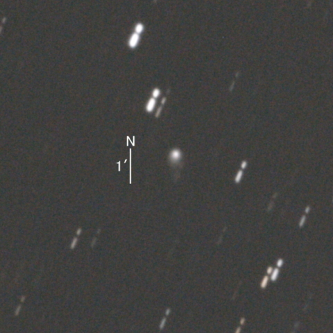 C/2020 V2 (ZTF彗星)