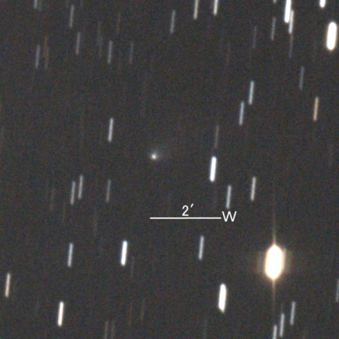 C/2021 U5 (Catalina彗星)