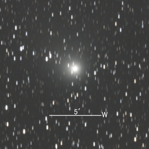 C/2019 L3 (ATLAS彗星)