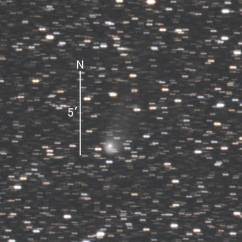 C/2017 K2 (PanSTARRS彗星)