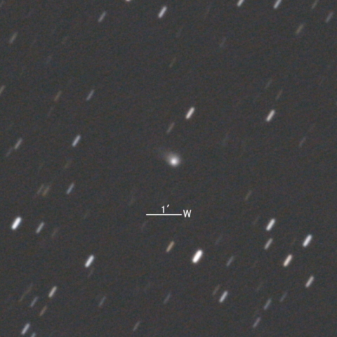 C/2019 U5 (PanSTARRS彗星)