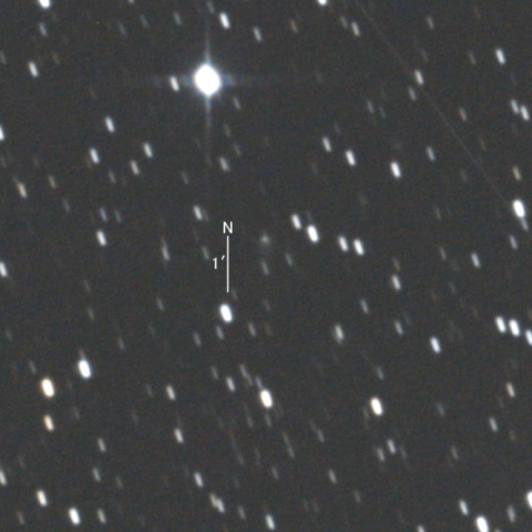 C/2019 O3 (Palomar彗星)