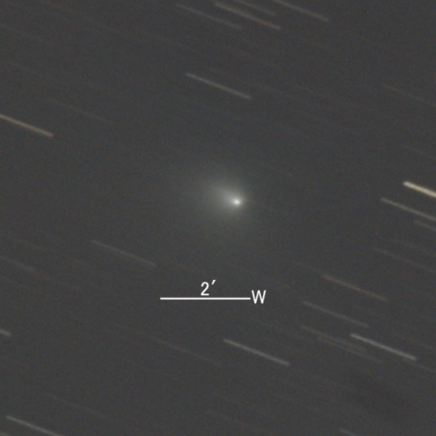 19P/Borrelly彗星