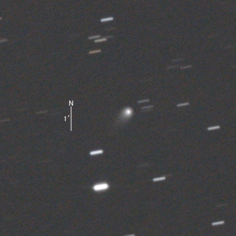 C/2020 V2 (ZTF彗星)