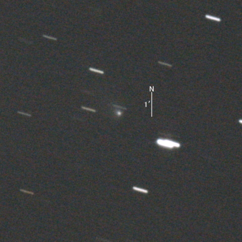 C/2020 M5 (ATLAS彗星) 