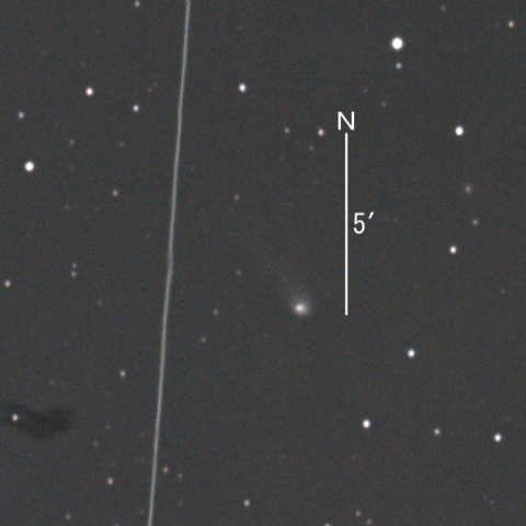 C/2019 U5（PanSTARRS彗星）