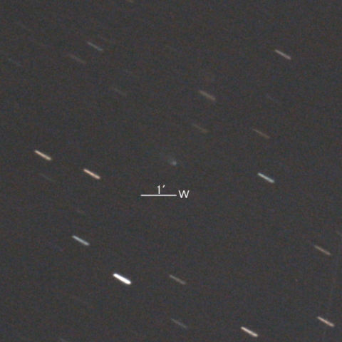 61P/Shajn-Schaldach彗星