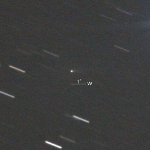 263P/Gibbs彗星
