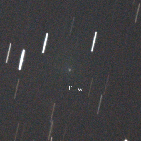 C/2023 E1 (ATLAS彗星)
