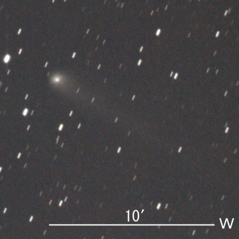 C/2019 T4 (ATLAS彗星)