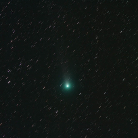 C/2013R1 ラブジョイ彗星