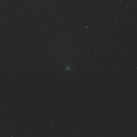 ギャラッド彗星（C/2009 P1）