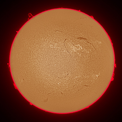 11月03日の太陽面