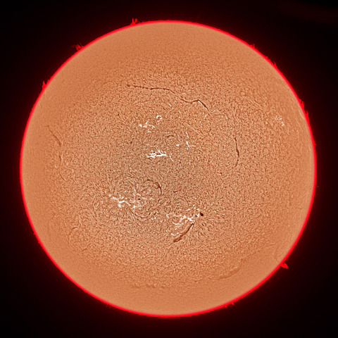 11月08日の太陽面