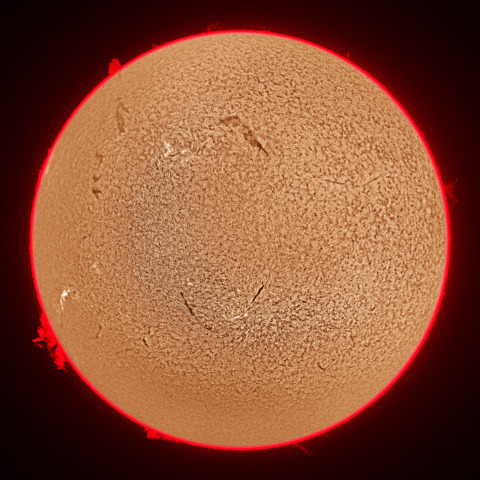 11月19日の太陽面