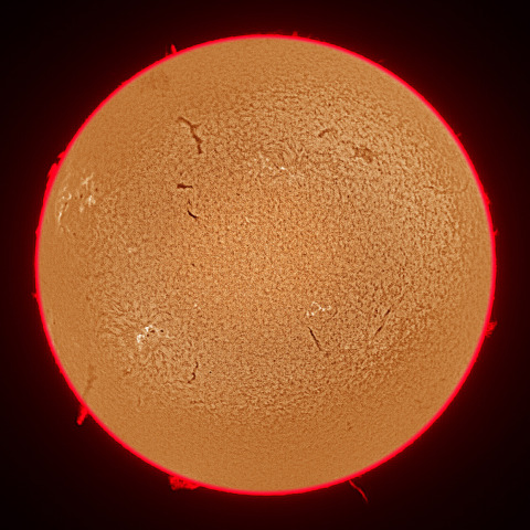 11月21日の太陽面